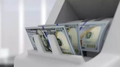 سعر الدولار اليوم الخميس في مصر آخر تحديث للبنوك واستقرار الأسعار أمام الجنيه