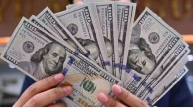سعر الدولار اليوم في البنك الأهلي الأربعاء 16 سبتمبر 2026 و توقعات السوق