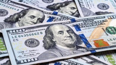 سعر الدولار اليوم في البنوك بعد تثبيت الفائدة ومتابعة تطورات السوق المصرفي