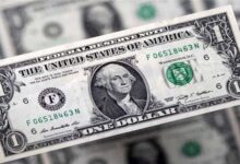 سعر الدولار في مصر اليوم الثلاثاء 29 سبتمبر 2026 واستقرار السوق المالي