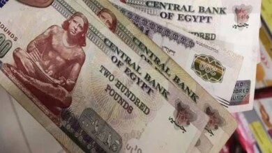 صرف تكافل وكرامة سبتمبر 2026 طريقة الاستعلام عن حالة الدعم غدًا
