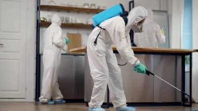 طرق فعالة لضمان بيئة خالية من الآفات في المطاعم والمستودعات