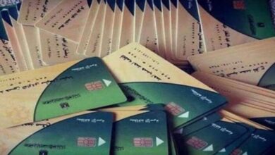 طريقة إضافة المواليد على بطاقات التموين 2026 والخطوات والأوراق المطلوبة