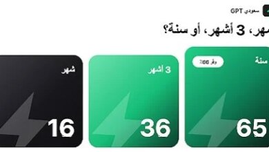 هل تستحق مدة شهر أم ثلاثة أشهر أم سنة لاتخاذ القرار المناسب؟