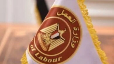 وزارة العمل تعلن عن توفر 200 وظيفة عامل نخيل براتب 9000 جنيه للمرة الأولى