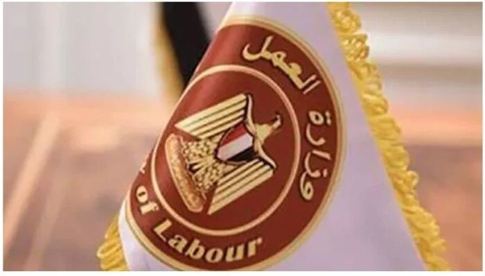 وظائف وزارة العمل في 4 محافظات برواتب تصل إلى 15 ألف جنيه