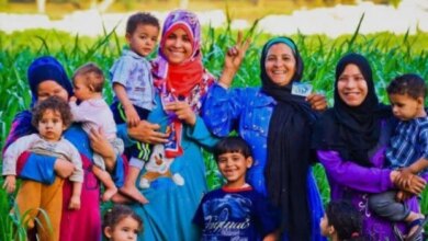 خطوات استعلام معاشات تكافل وكرامة أكتوبر 2026 وموعد الصرف