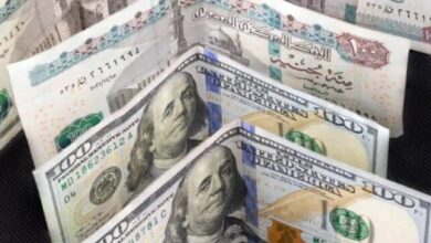 سعر الدولار اليوم الاثنين 12 أكتوبر 2026 تحديث مباشر مقابل الجنيه المصري في السوق المصرية