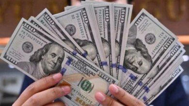 سعر الدولار اليوم الثلاثاء 13 أكتوبر 2026 آخر تحديث وأبرز المستجدات السوقية