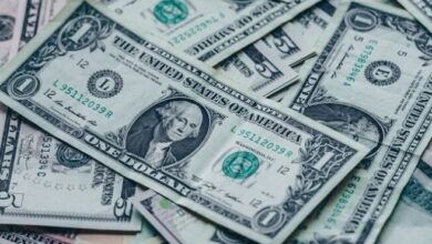 سعر الدولار اليوم الثلاثاء 13 أكتوبر 2026 في مصر واستقرار الأسعار أمام الجنيه المصري