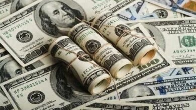 سعر الدولار اليوم الخميس 8 أكتوبر 2026 في مصر والخدمات المصرفية وتأثير السوق على الاقتصاد