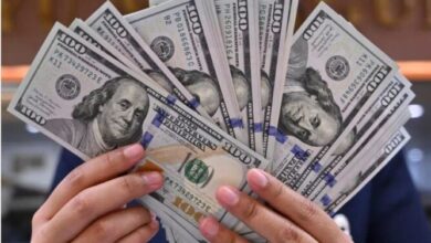 سعر الدولار في مصر اليوم الأربعاء 7 أكتوبر 2026 ومستجدات السوق المالية المحلية
