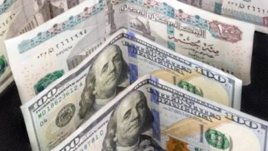 سعر الدولار مقابل الجنيه اليوم الاثنين 12 أكتوبر 2026 في السوق المصرية