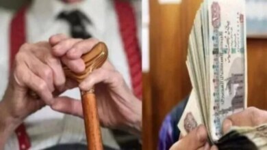 قانون التأمينات يوضح مصير المعاش الإضافي بعد وفاة المؤمن عليه والمستحقين المستحقين