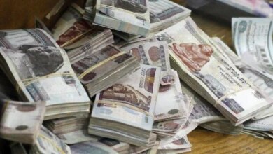 كم تبلغ قيمة معاشات نوفمبر 2026 بعد زيادة يوليو