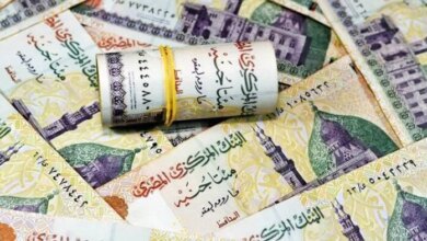 موعد صرف معاشات شهر نوفمبر 2026 وأماكن الاستعلام ورابط الصرف