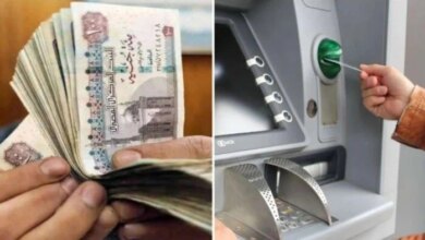 موعد صرف معاشات نوفمبر 2026 وأماكن الاستعلام وخطوات الحصول عليها بالرقم القومي