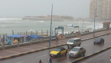 نوة رياح الصليب الثانية تضرب الاسكندرية وتوقعات حالة الطقس خلال 72 ساعة