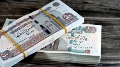 هل يحق للأرمل الجمع بين معاش الزوجة المتوفاة ودخله وفقًا لقانون التأمينات