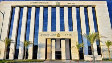 وظائف موسمية في إسبانيا براتب 64 ألف جنيه تشمل 100 فرصة عمل مميزة